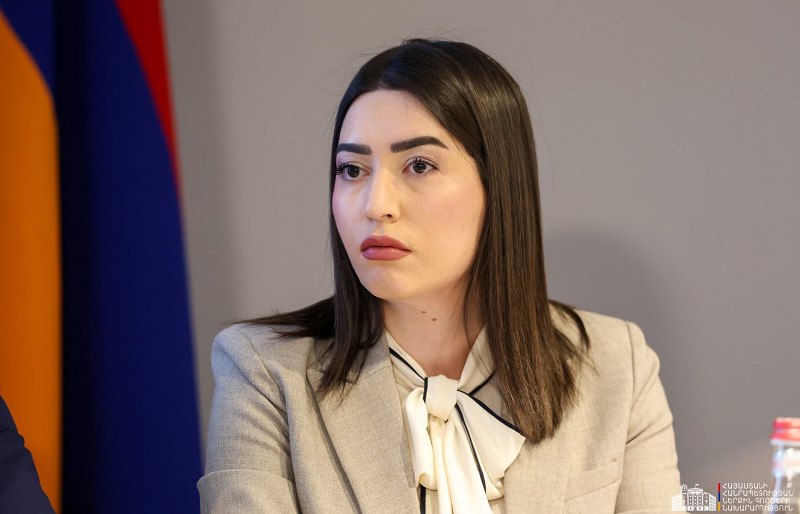 Министр внутренних дел Арпине Саргсян на пресс-конференции в Спитаке