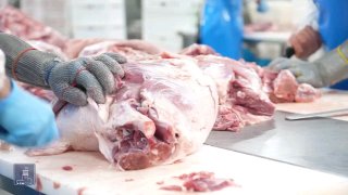 Производственный цех компании «Атенк» в Спитаке, Лори