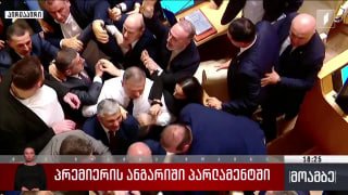 Драка в парламенте Грузии, депутаты в зале заседаний