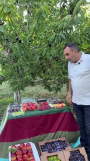 Первая партия армянских фруктов, отправленная в ОАЭ из Спитака