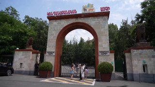 Животные в карантинной зоне Ереванского зоопарка, перевезенные из особняка Гагика Царукяна
