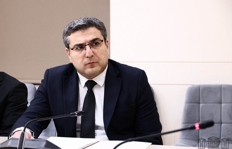 Заседание НС Армении, замминистра МВД Армен Мкртчян представляет доклад о гражданстве переселенцев из Карабаха, Спитак